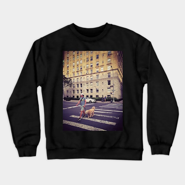 Fifth Avenue Central Park New York City Crewneck Sweatshirt by eleonoraingrid